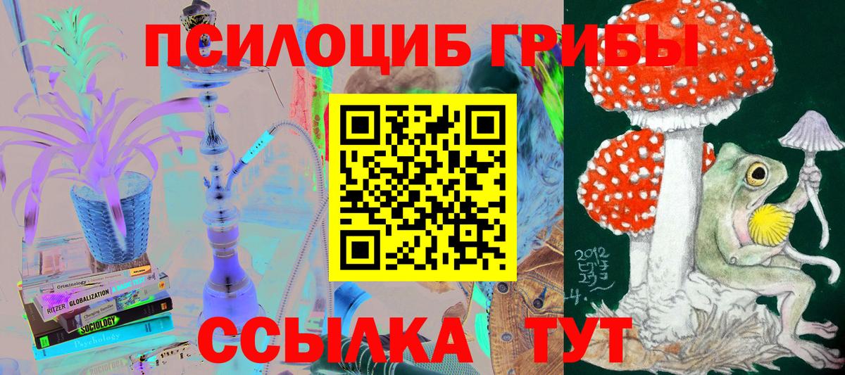 Псилоцибиновые грибы MAGIC MUSHROOMS Тольятти